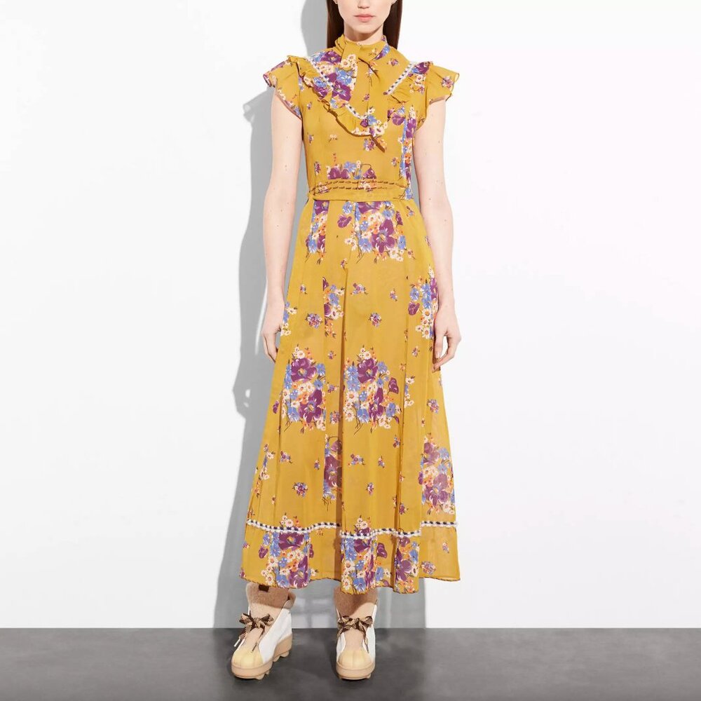 COACH Dress - Daisy Bouquet Western Dress With Necktie Sz 10 NWT